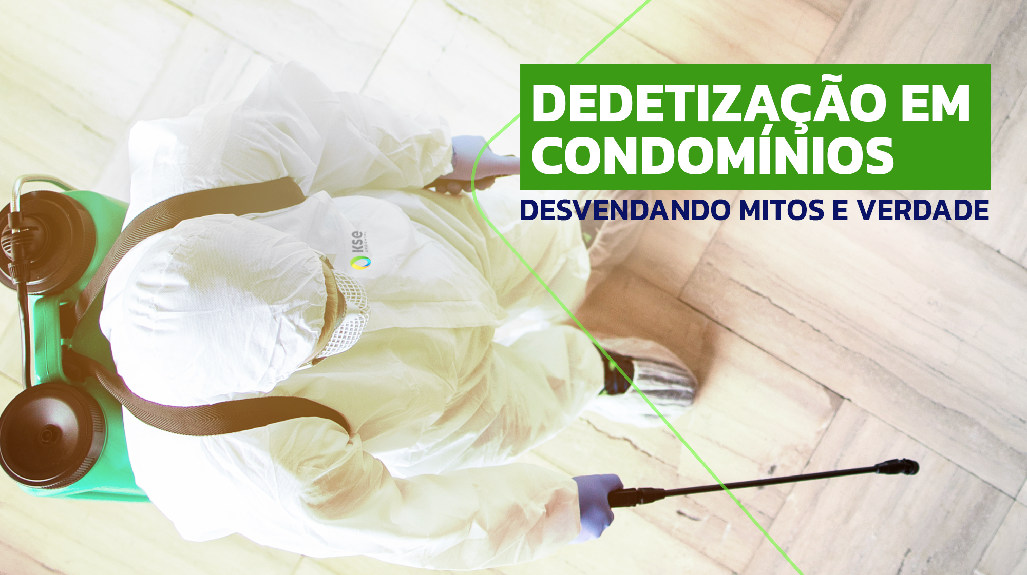 dedetização